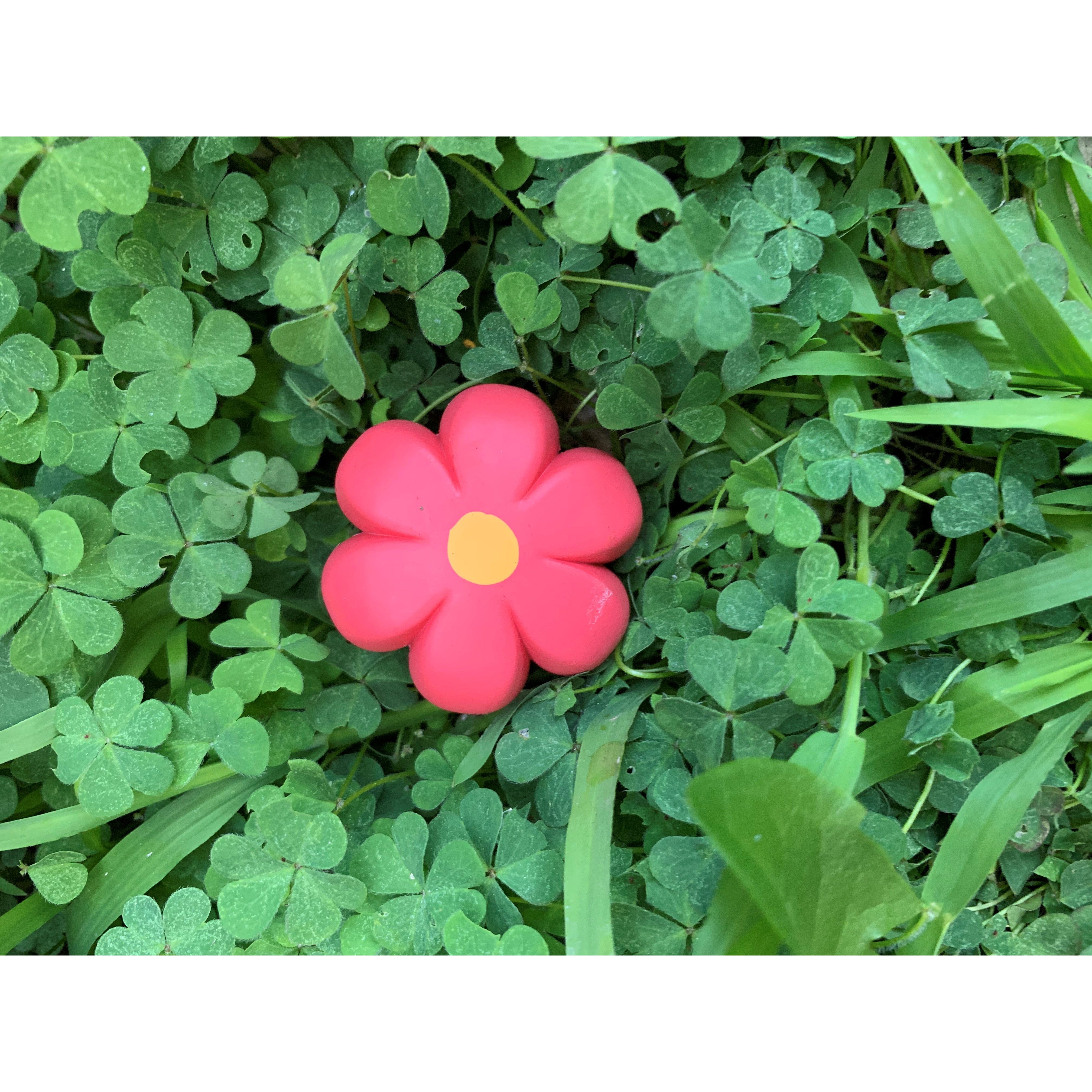 Moxi Brake Petal Toe Stops Pair