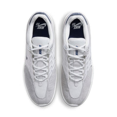 Nike SB Vertebrae Skate Shoe Platinum Tint / Midnight Navy