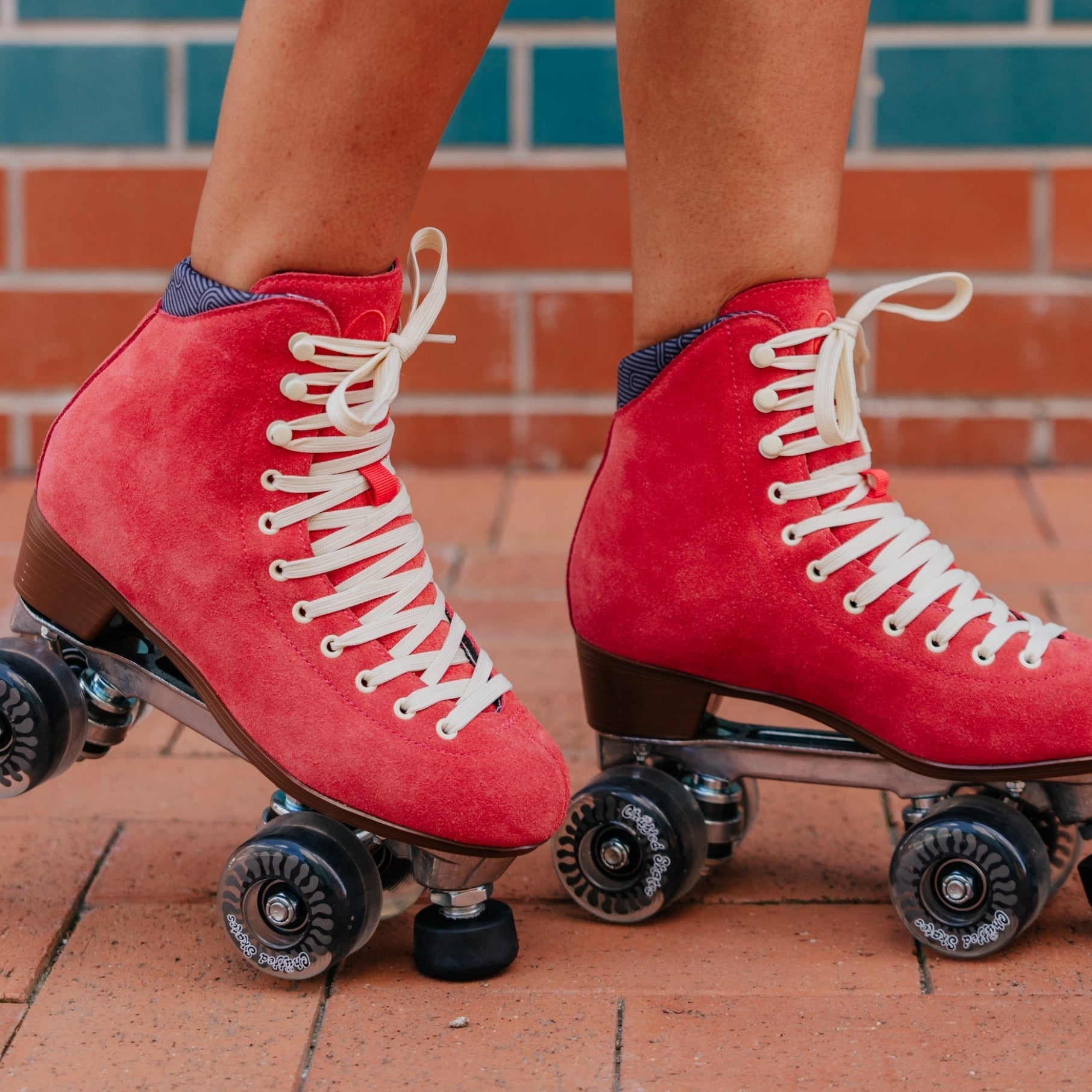 WANDERER Chuffed Skates - WATERMELON