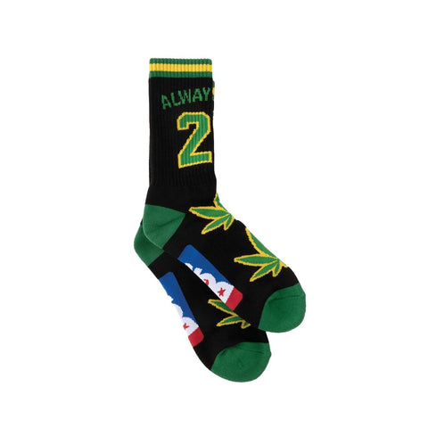 DGK Sock's Team Indica