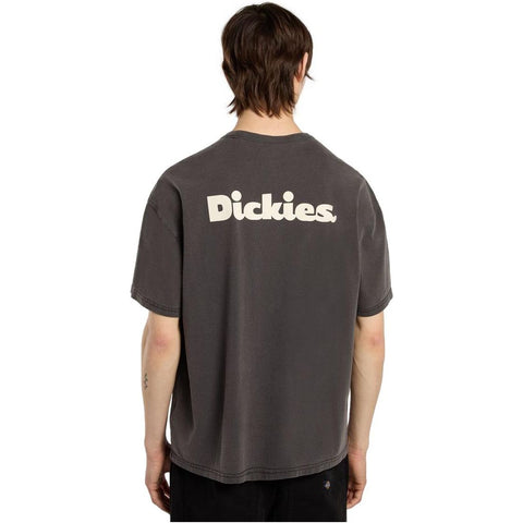 Dickies Slayden GD Short Sleeve T-Shirt Washed Black