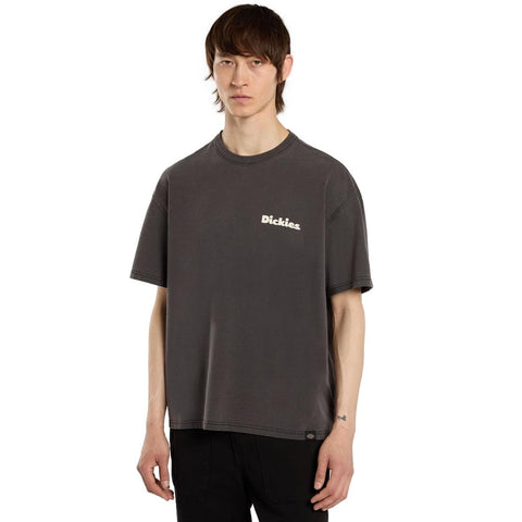 Dickies Slayden GD Short Sleeve T-Shirt Washed Black