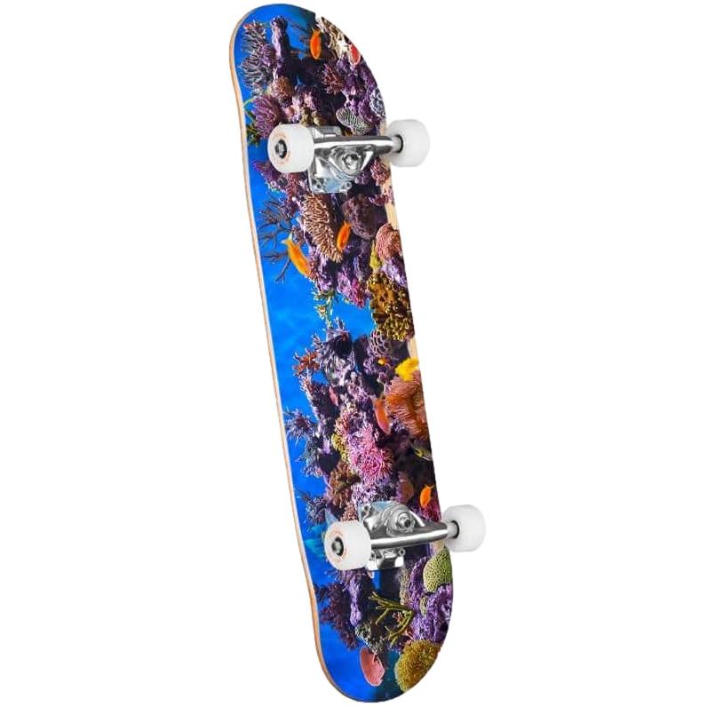 Mini Logo Complete Skateboard Fish Tank 8.0" x 31.45"