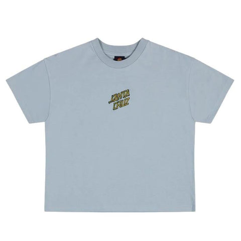 Santa Cruz Brain Dot Youth T-Shirt Slate