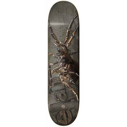 élan Funnel Web Skateboard Deck