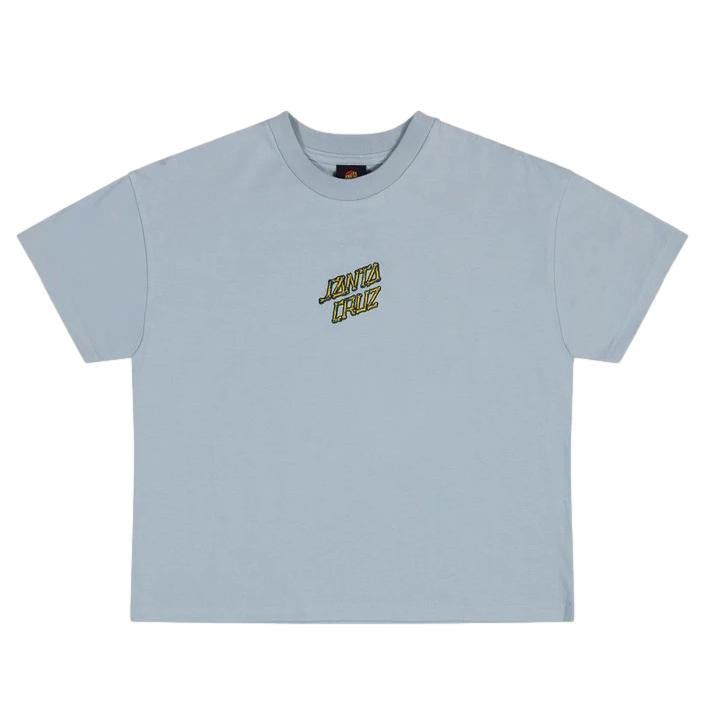 Santa Cruz Brain Dot Youth T-Shirt Slate