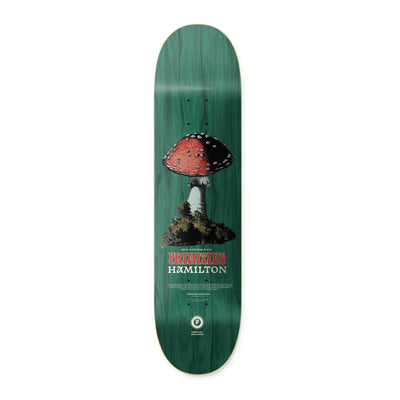 Primitive Red Cap Hamilton 8.38" Deck