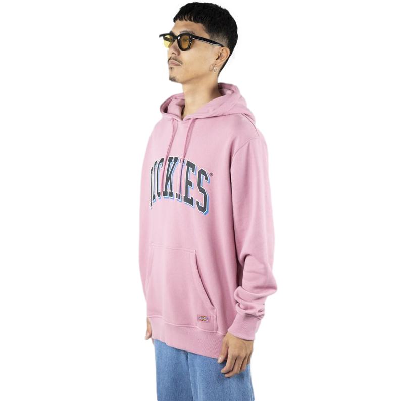 Dickies pennellville online hoodie