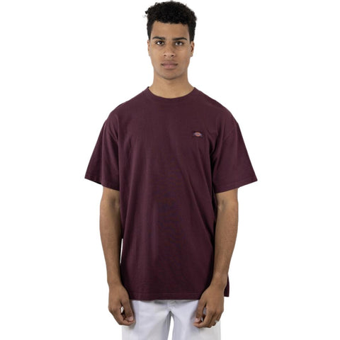 Dickies Classic Label Oversized Fit Tee Port