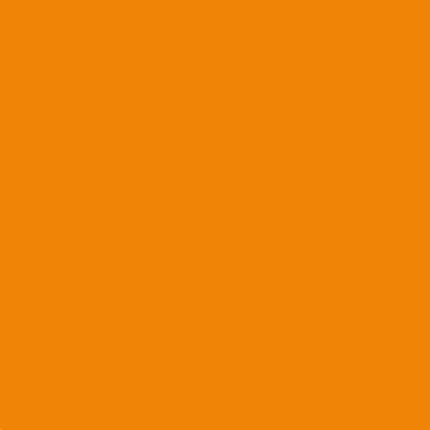 MTN 94 Spray Paint - Lava Orange RV106