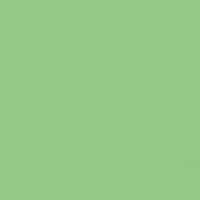 MTN 94 Spray Paint - Mint Green RV272