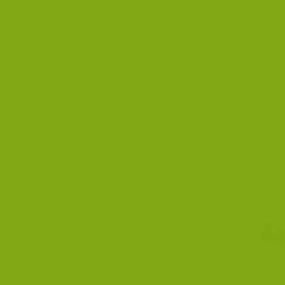 MTN 94 Spray Paint - Neon Green RV125