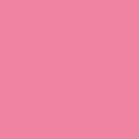 Loop Spray Paint 400ml - Limerick Pink