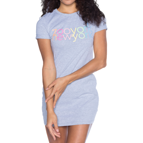 Zoo York Rainbow Room Dress Tee Grey - Da Klinic Online | Skate Specialists