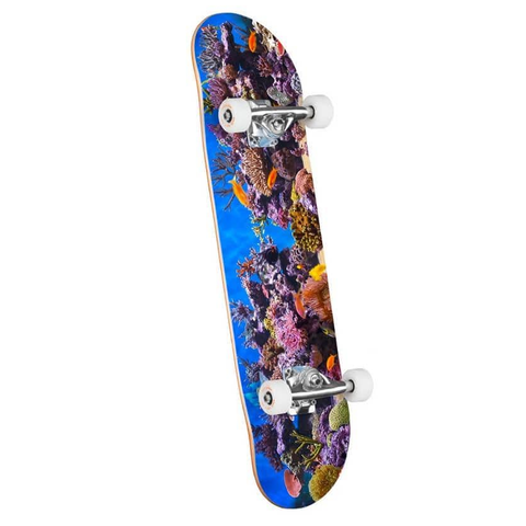 Mini Logo Complete Fish Tank